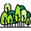 Avenue Trees